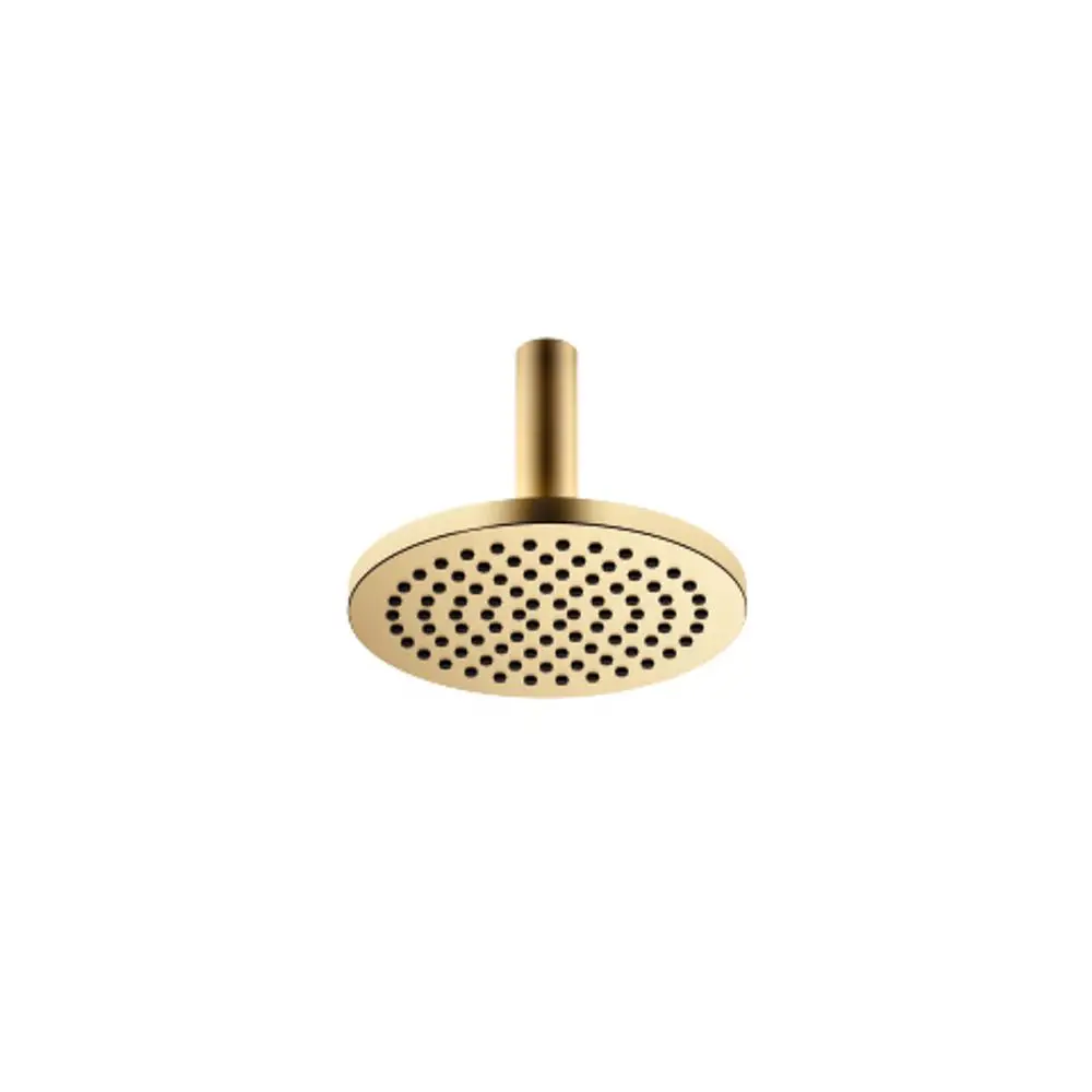 DORNBRACHT Regenbrause mit Deckenanbindung SERIENSPEZIFISCH 28669970 220 mm Messing gebürstet (23kt Gold), 28669970-28 Galeriebild 1